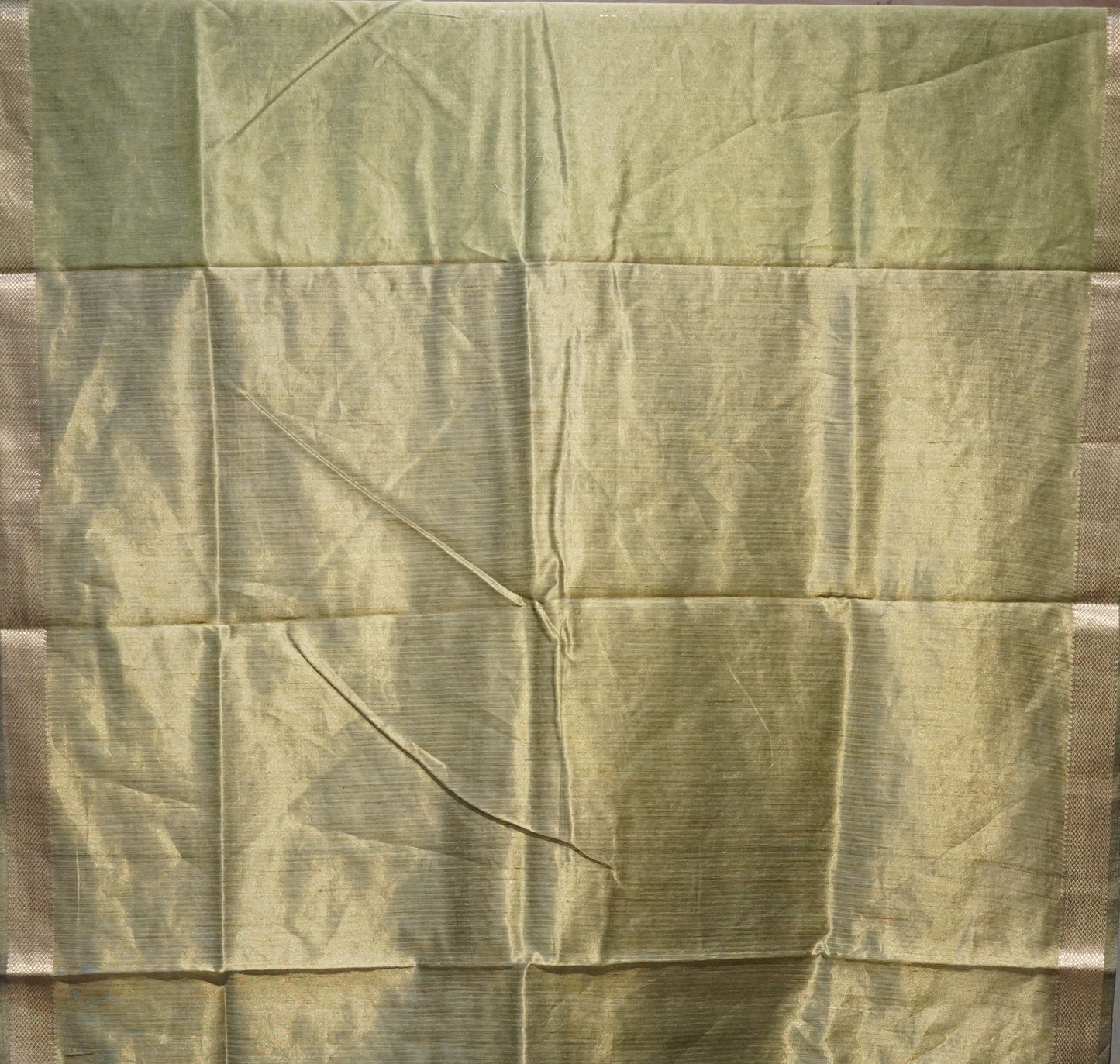 Chanderi Tissue Aplique Work Green