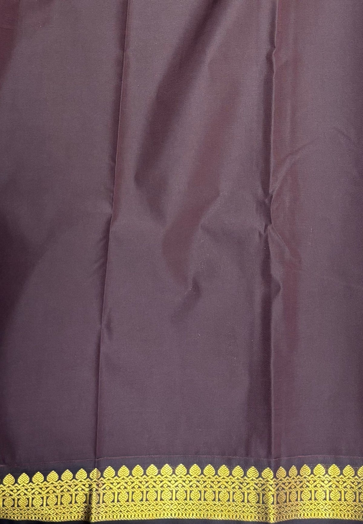 Budget Kanchipuram Saree-Ice Blue with Contrast Border