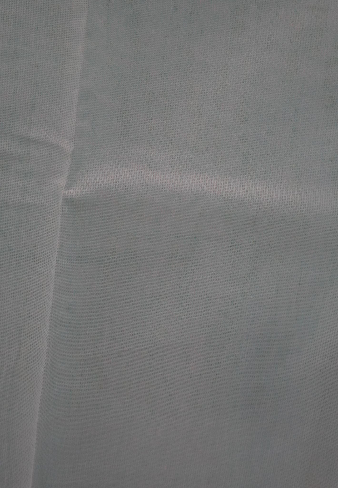 Tissue Saree-Aqua Green with Embroidery Work