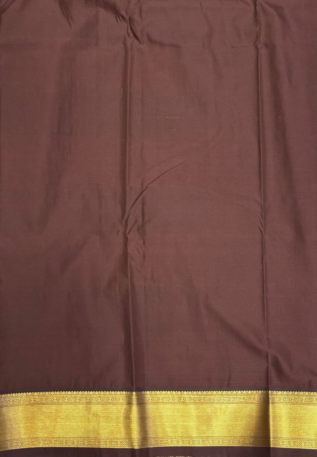 Budget Kanchipuram Saree-Ice Blue with Contrast Border