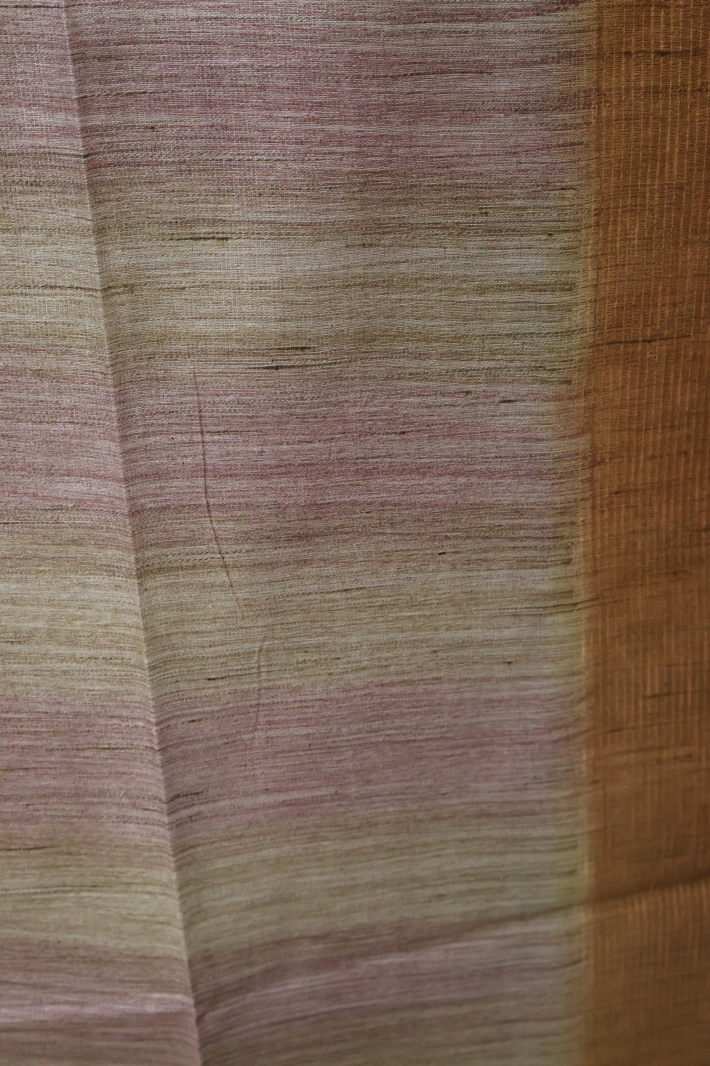 Tissue Tussar Saree-Hand Paint-Honey