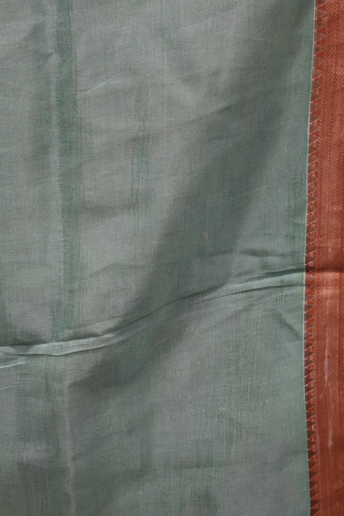 Pure Tussar Saree - Light Brown