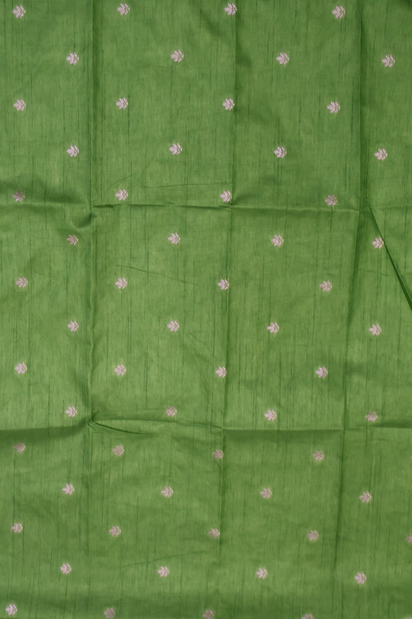 Semi Tussar Saree-Light Green Elephant Zari