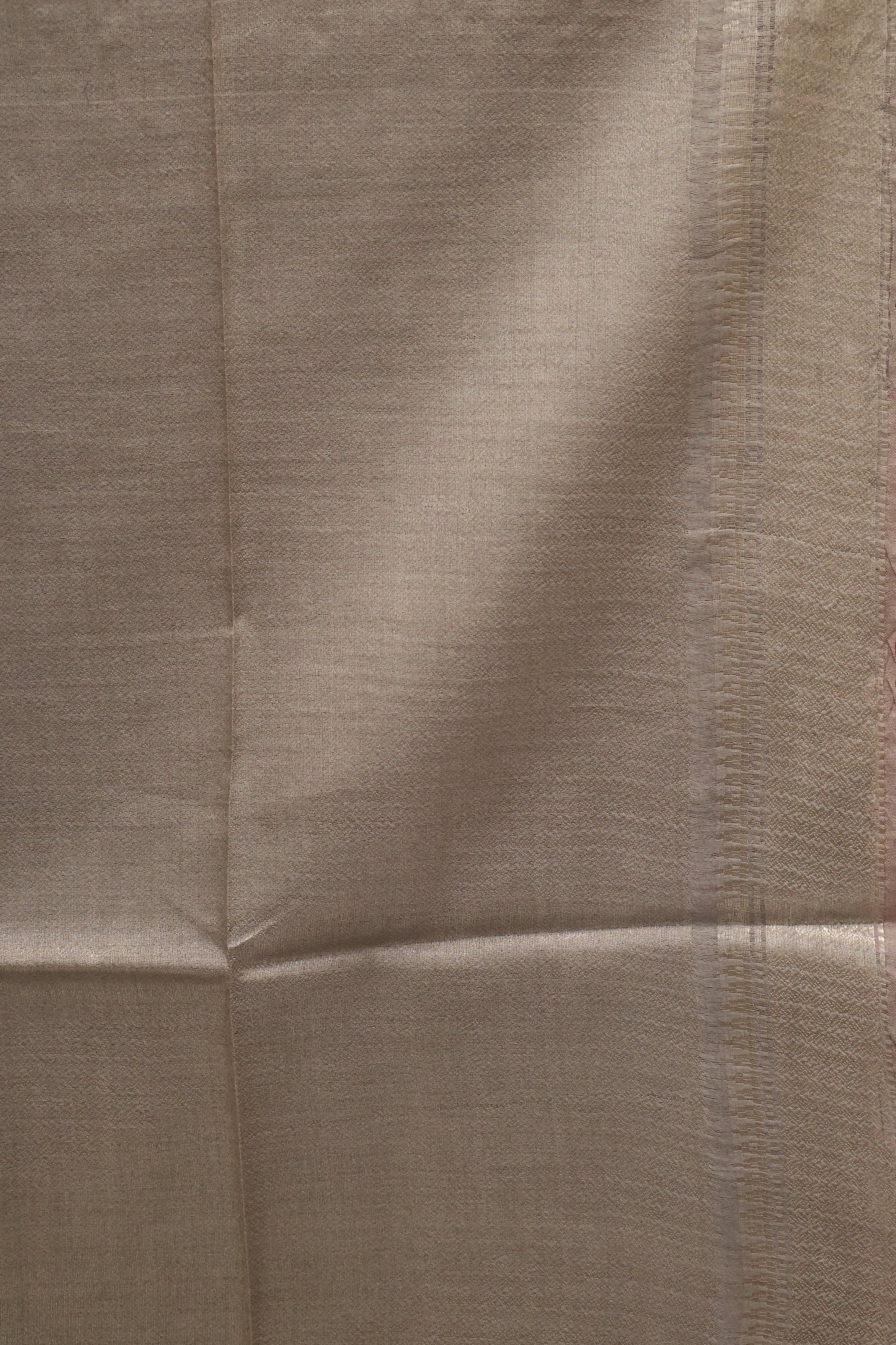 Bhagalpur Tissue- Silver Full Zari
