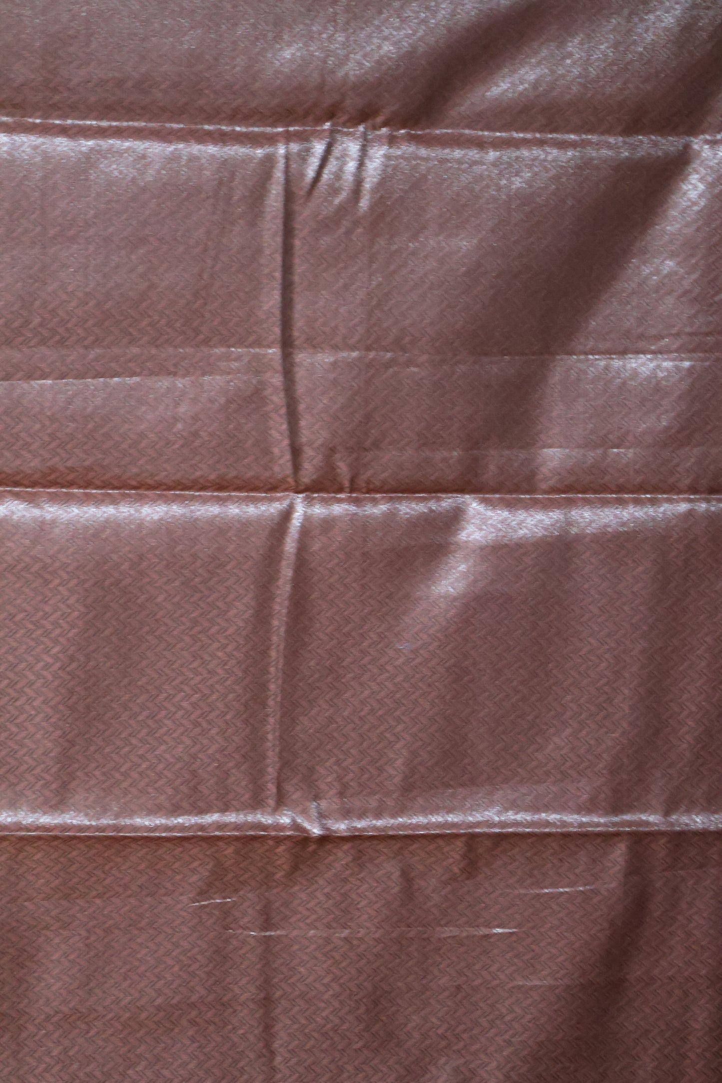 Tissue Silk Saree-Rust Colour