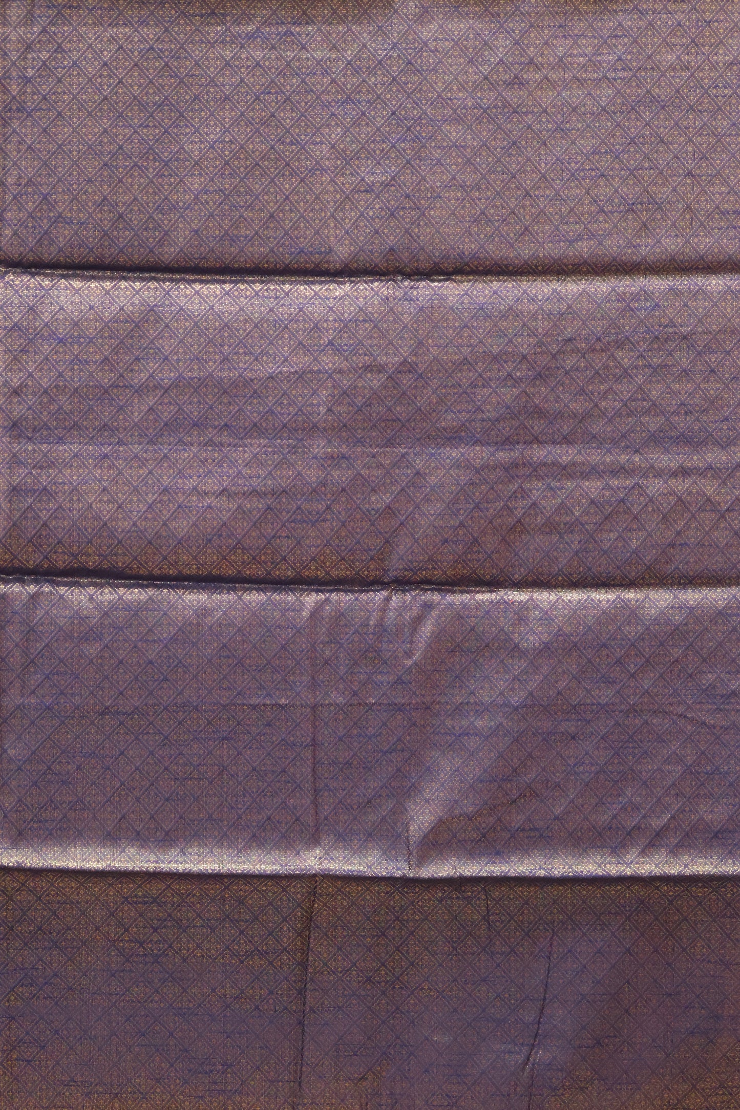 Tissue Silk Saree-Blue Floral Border