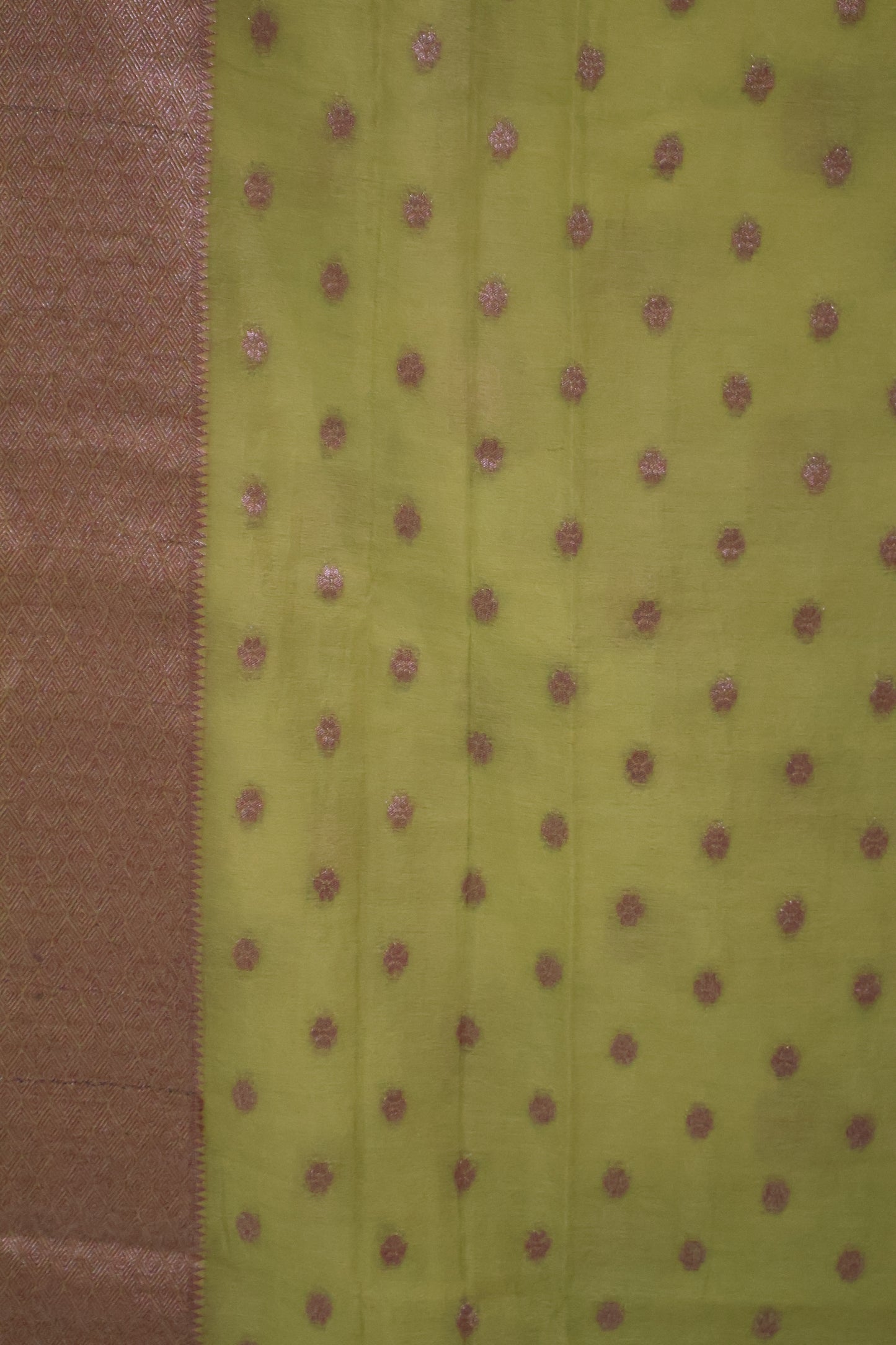 Banarasi Georgette Saree - Green