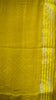 Shiffon Printed Saree Mustard With Zari Border thumbnail
