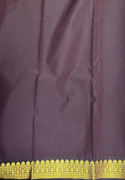 Budget Kanchipuram Saree-Ice Blue with Contrast Border