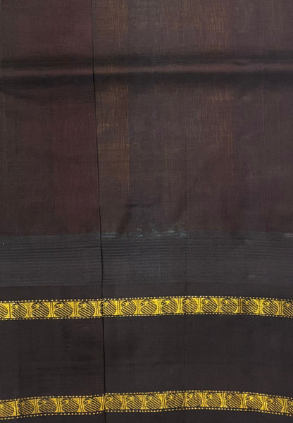 Pure Silk Cotton Saree–Blue in Checked Zari with Contrast Border