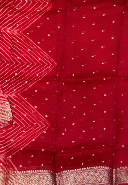 Pure Organza Tussar Saree-Red In Paisley Leaf Zari Border With Partly Pallu