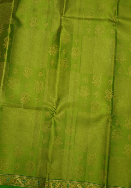 Pure Kanchipuram Silk Saree-Light Green With Meenakari Work and Small Border