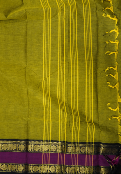 Chettinadu Cotton Saree-Manthulir Green