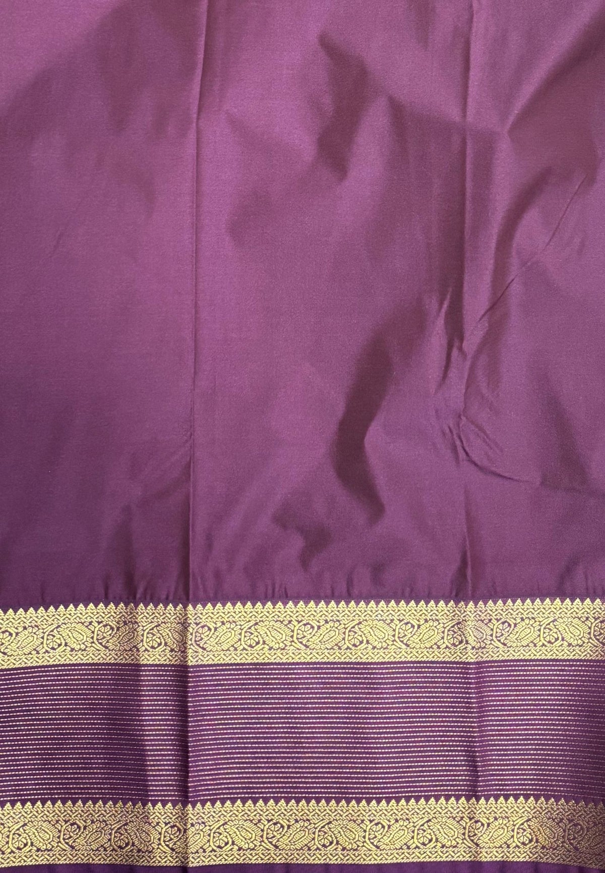 Budget Kanchipuram Saree-Sea Blue with Contrast Border