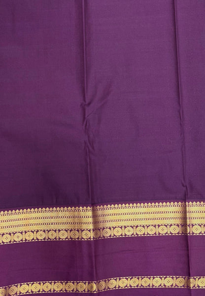 Budget Kanchipuram Saree-Sulphate Blue with Contrast Border