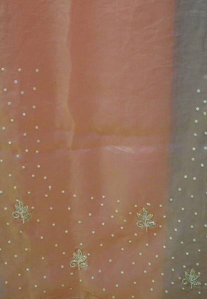 Mira Designer Saree-Peach& Sky blue Duo Tone Encrusted with Scalloped Stone Work