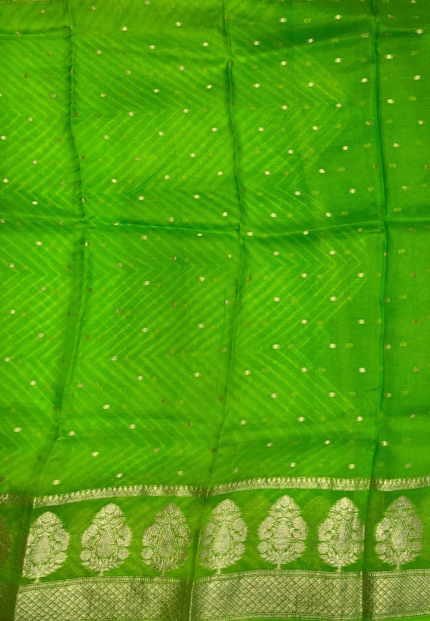 Pure Organza Tussar Saree-Light Green In Paisley Leaf Zari Border With Partly Pallu