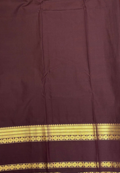 Budget Kanchipuram Saree-Ice Green with Contrast Border