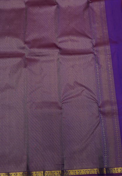 Pure Kanchipuram Silk Saree- MS  Blue with Small Border