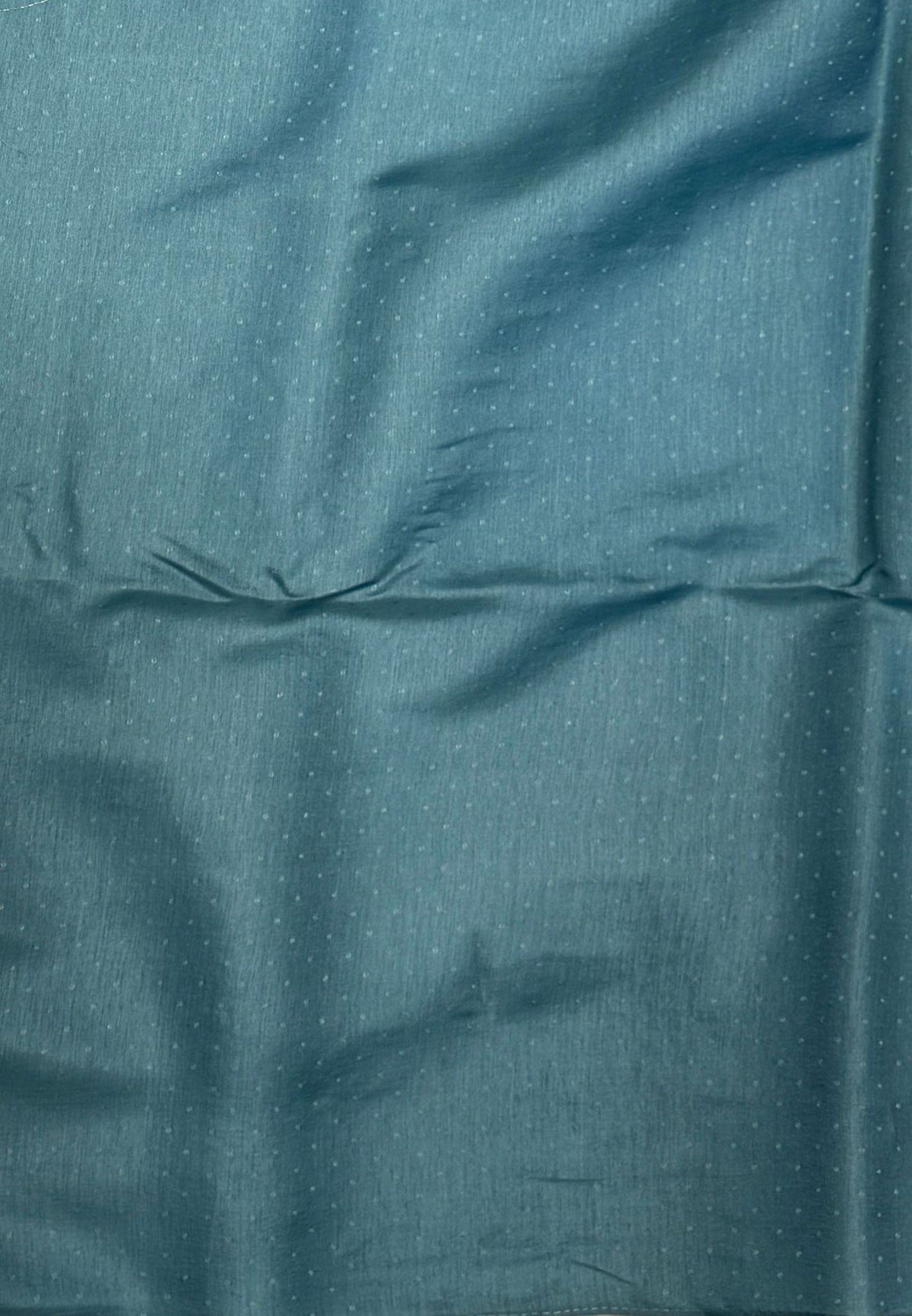 Blueberry Silk Saree-Muted in Leaf Butta Embroidery Border