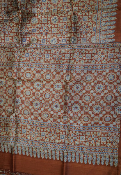 Pure Tussar Silk Saree – Honey Ajrakh Print
