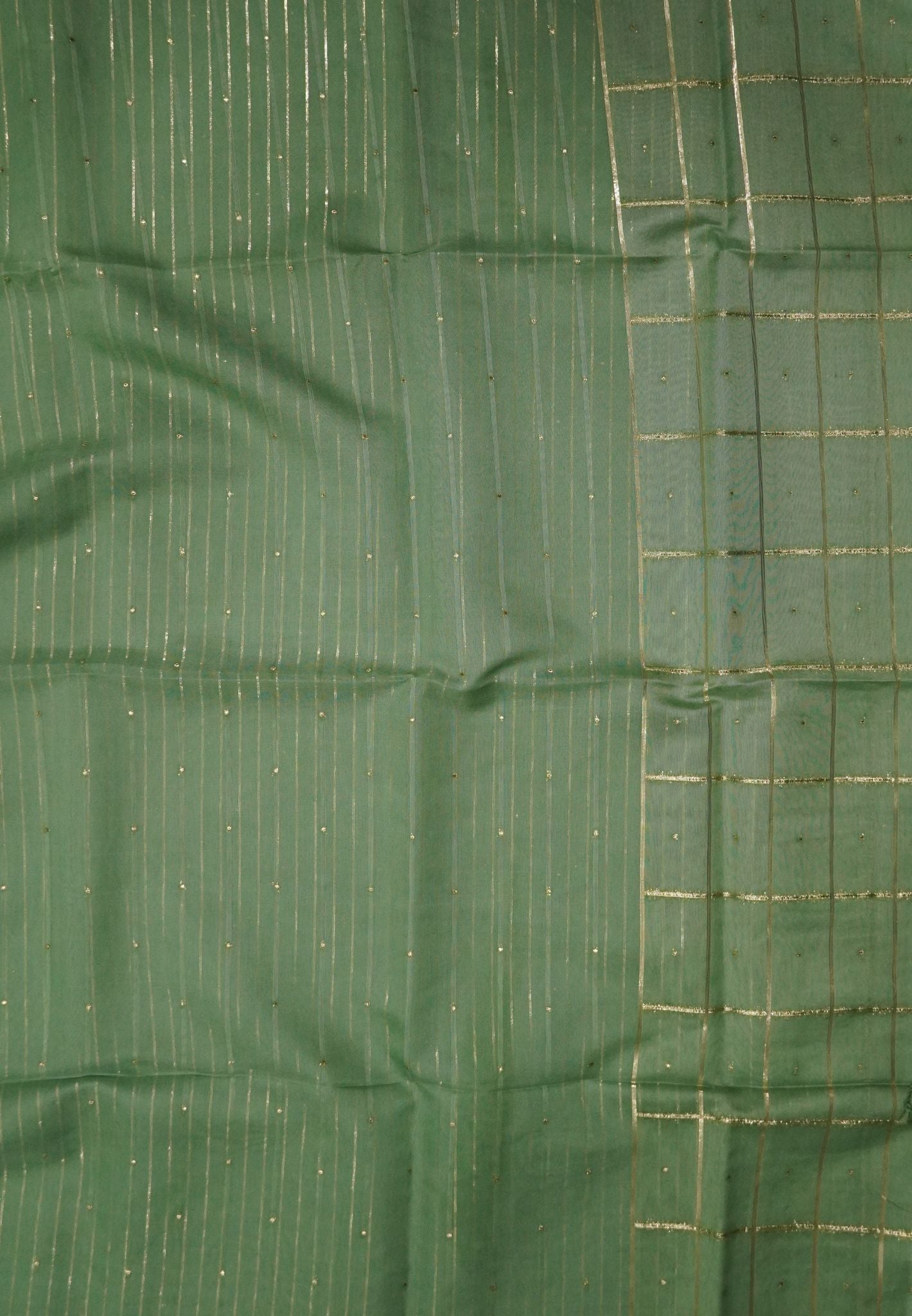 Organza Saree- Green Pastle Shades with Sequence Work