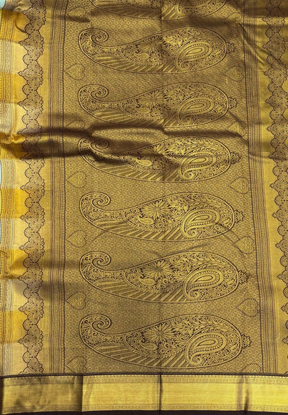 Budget Kanchipuram Saree-Ice Blue with Contrast Border