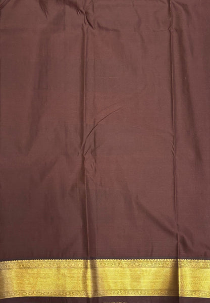 Budget Kanchipuram Saree-Ice Blue with Contrast Border