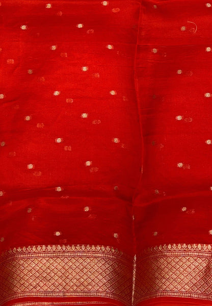 Pure Organza Tussar Saree-Orange In Paisley Leaf Zari Border With Partly Pallu
