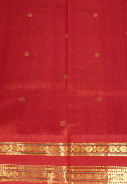 Silk Cotton Saree-Navy Blue-Red