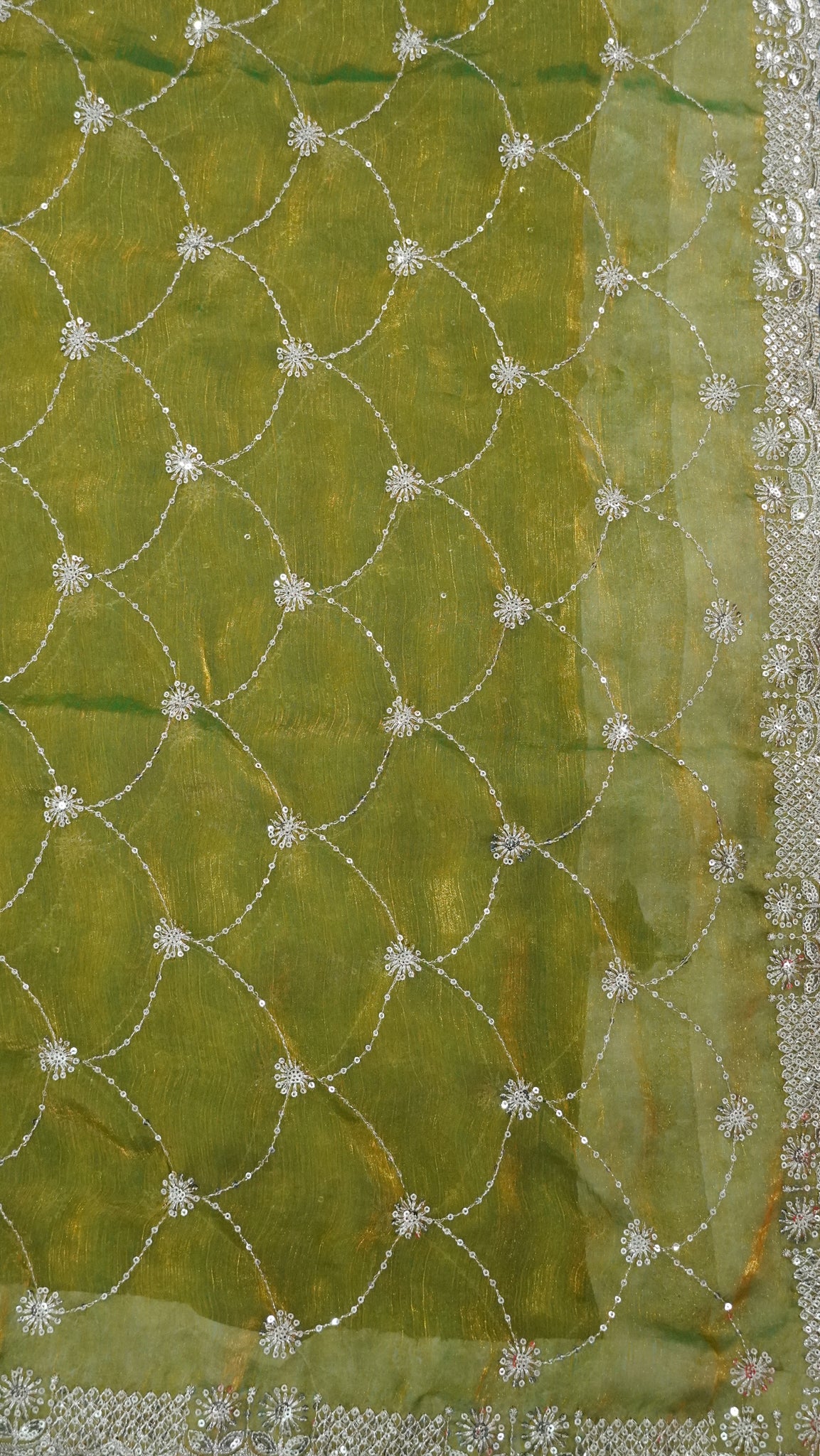 Space Silk Saree - Designer Light Green