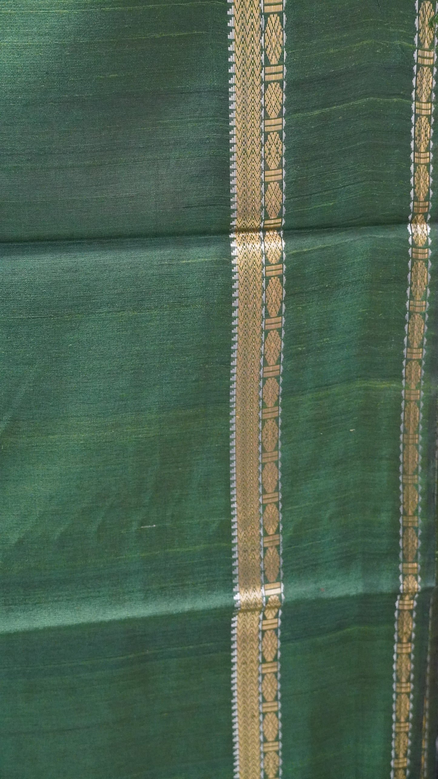 Pure Dupion Silk Saree - Beige-Green Tower Border