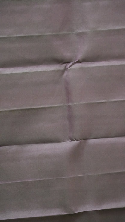 Pure Soft Silk Saree 1  1/2 Warp - Beige