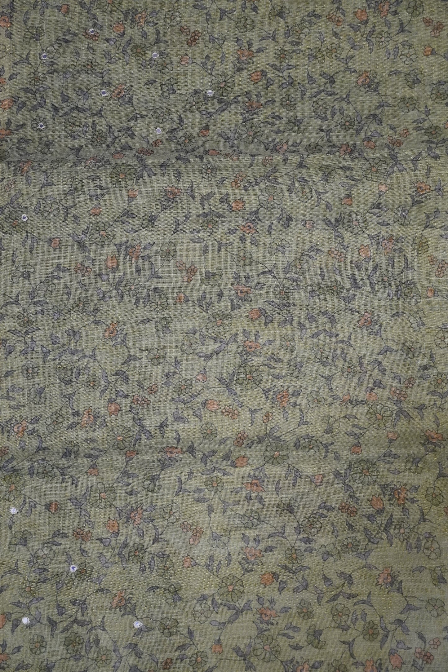 Pashmina Tissue Saree - Floral Mirror Work Light Green