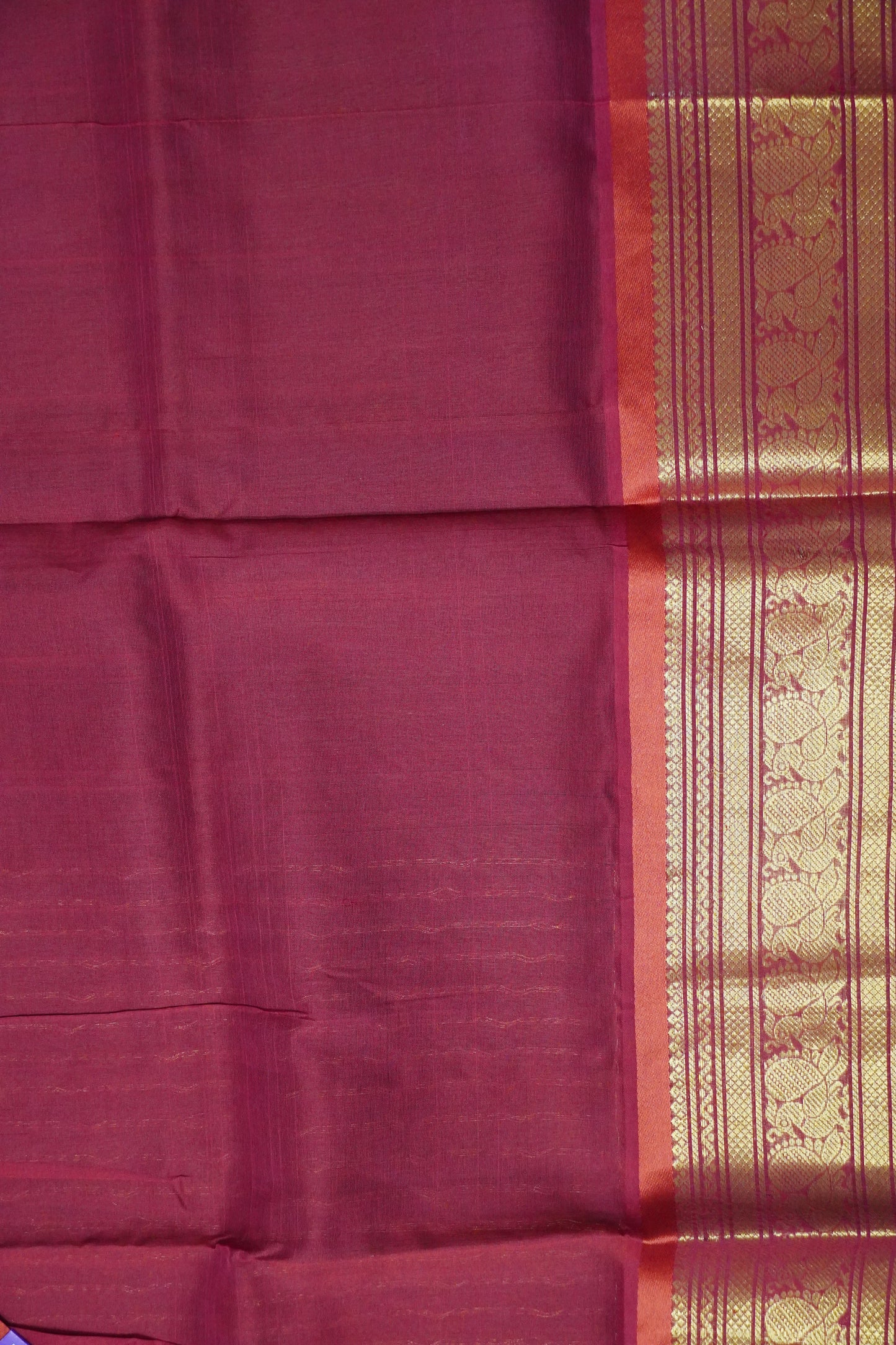 Silk Cotton Saree - Green - Red