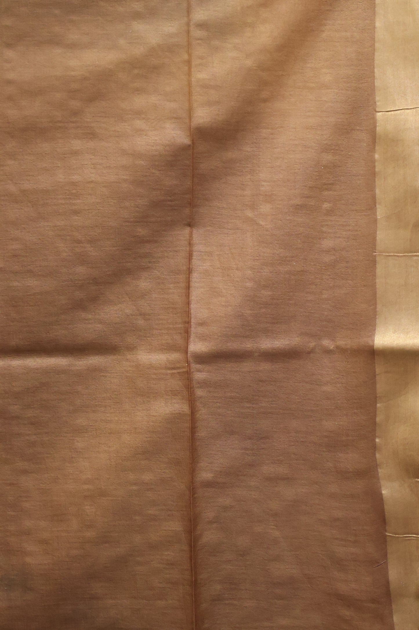 Semi Bhagalpur Tussar Saree-Black-Gold