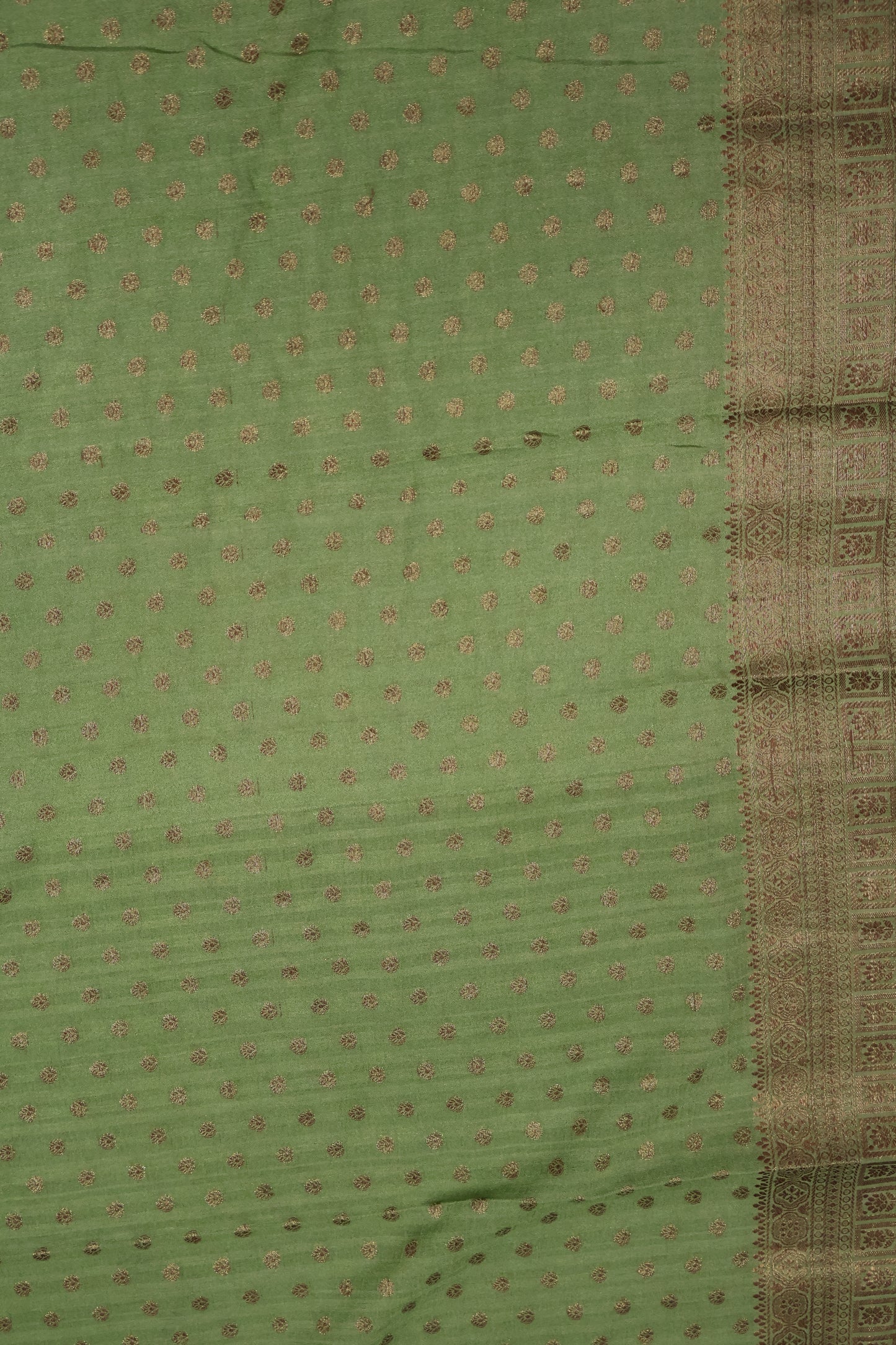 Banarasi Georgette Saree - Green