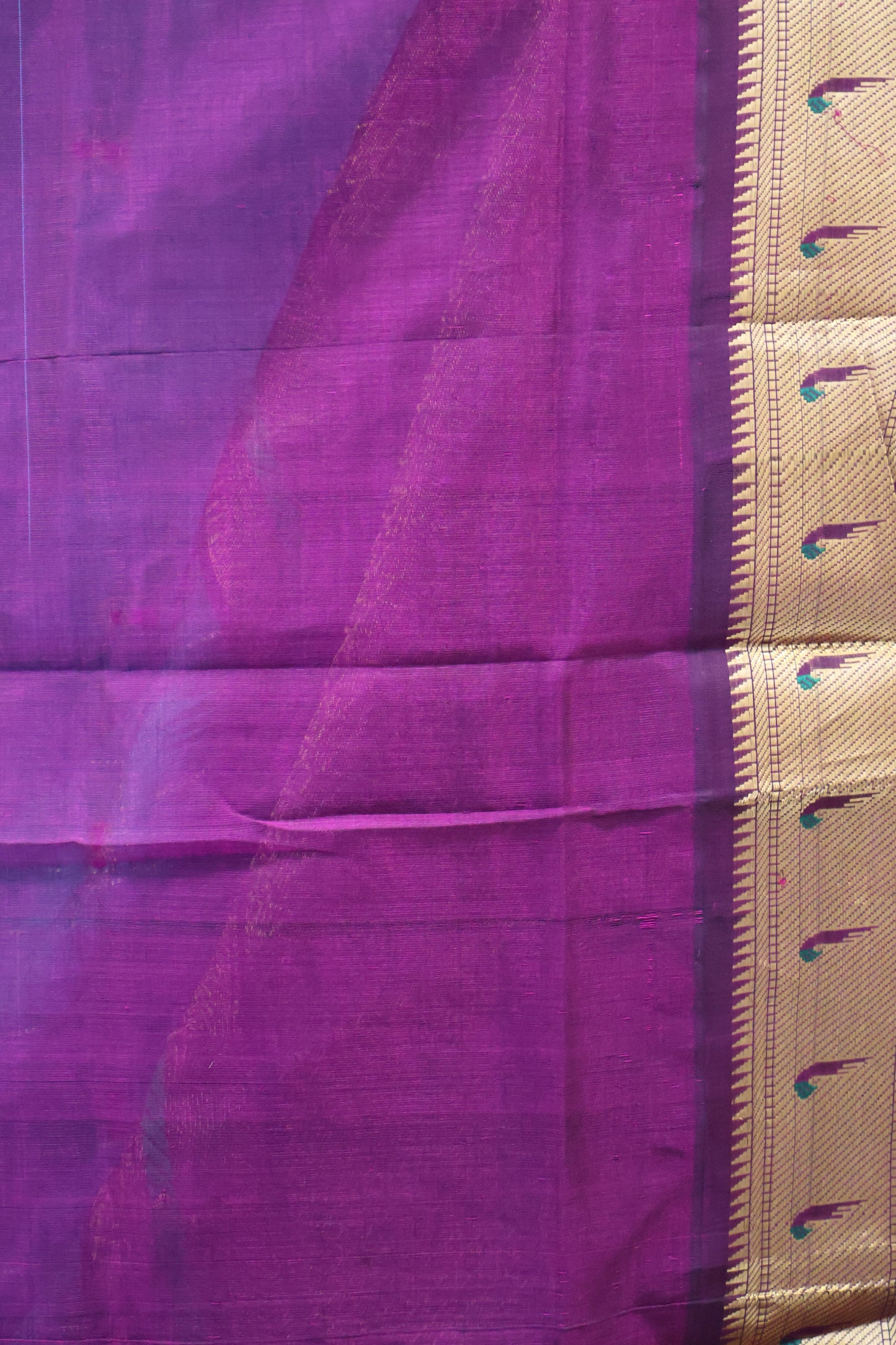 Pure Silk Cotton Saree-Teal Blue Paithani