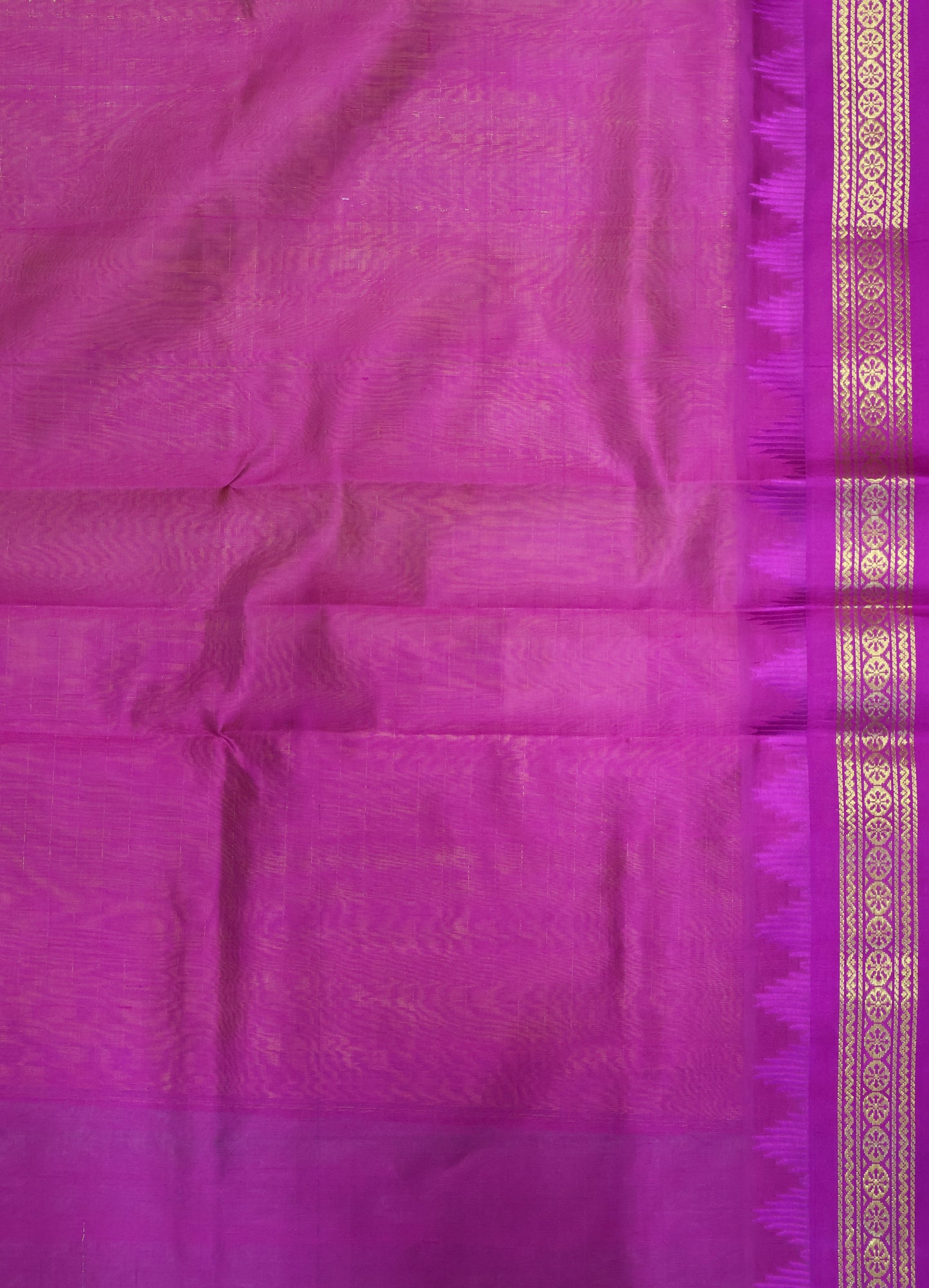 Pure Silk Cotton Saree-Gold Laksha Deepam