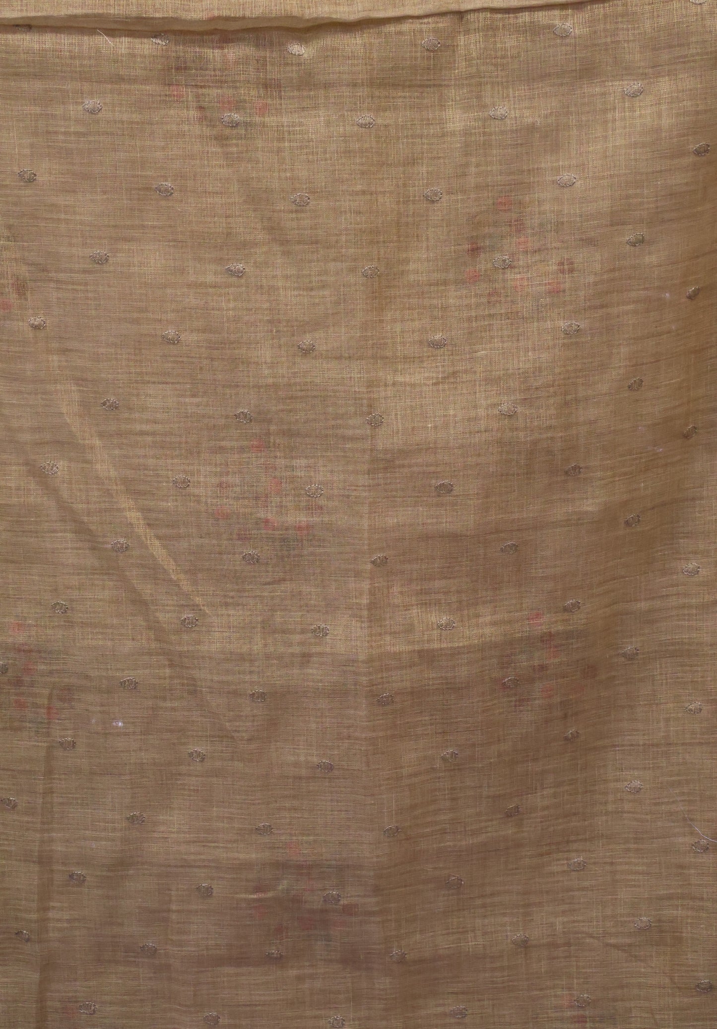 Tissue Kota Saree - Mustard Rose Plant Embroidery Work